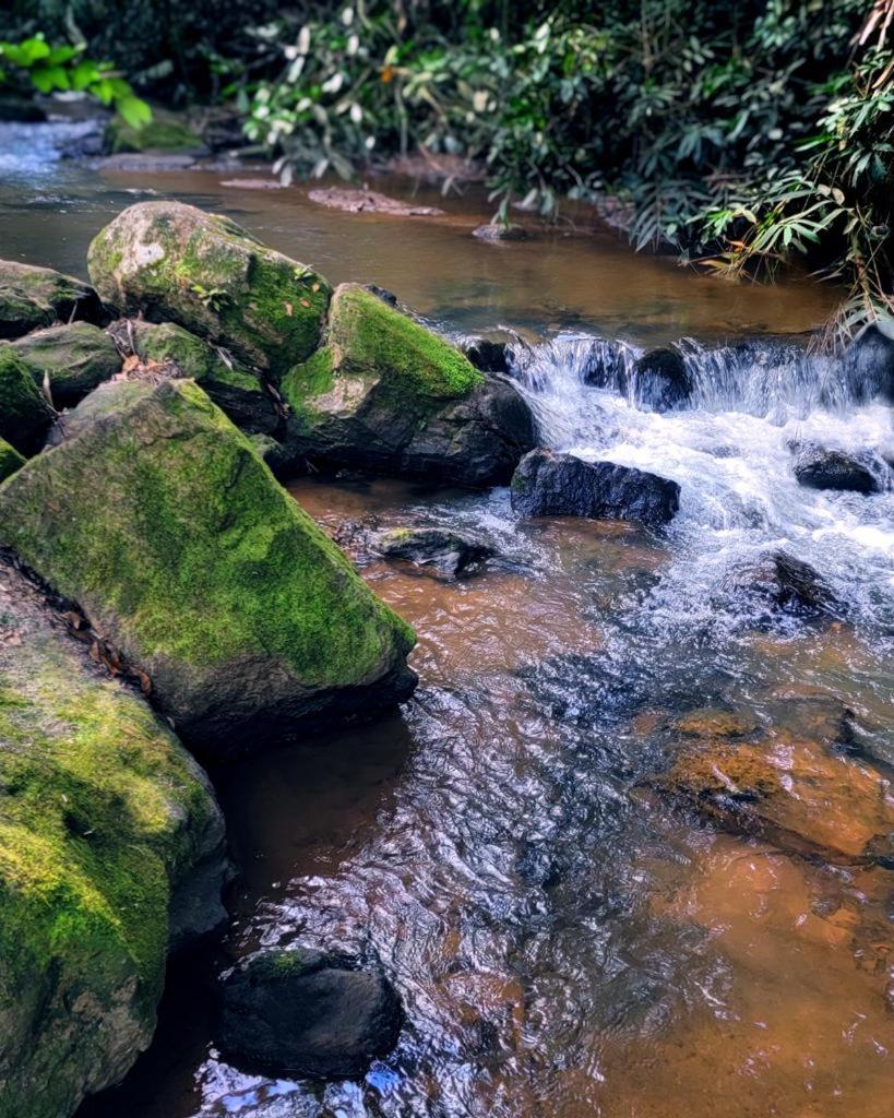 Pousada Sitio Das Pedras Domingos Martins Exteriér fotografie